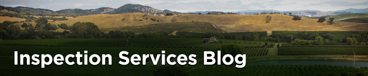 Inspection Services Blog